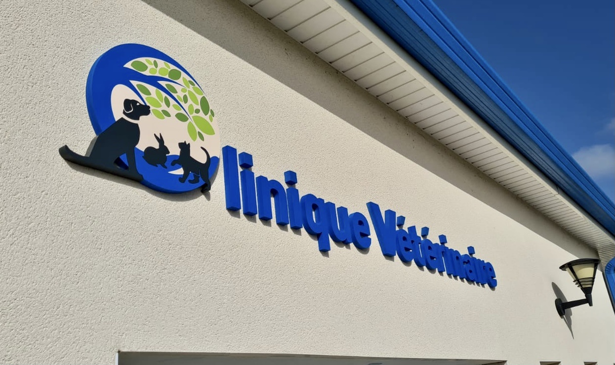 Enseigne en lettres découpées pour la clinique vétérinaire Linque Vétérinaire à Toulouse